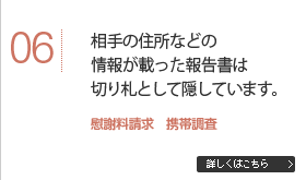 相手の住所などの情報が載った報告書は切り札として隠しています。