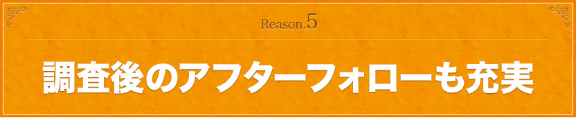 調査後のアフターフォローも充実