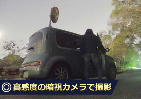 高感度の暗視カメラで撮影