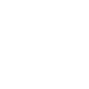 調査報告書